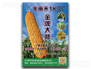 �����18�����ƴ����-���׷N��-�п�����