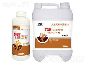 ���ɡ��������-��������