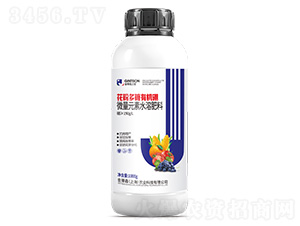 ���۶����ЙC(j��)��-���ɭ