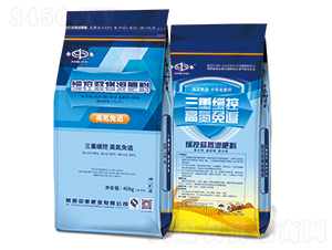 ����ጓ������28-19-6-�к�