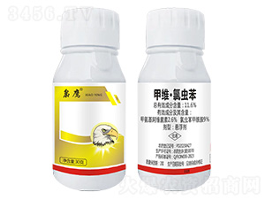 11.6%�׾S�����x(ch��ng)��-�n��-ϲ�r(n��ng)ʢ