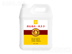 ��(qi��ng)����(w��n)�L(zh��ng)�������-���S�Ƽ�