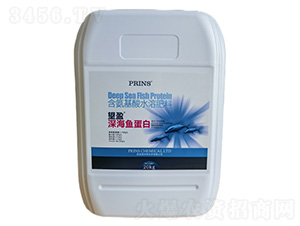 ��ӯ��~����