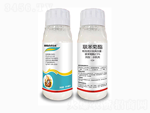 2.5%(li��n)������-���𻢻�����-��������