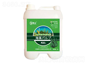 �M(j��n)�ڝ�s���徫�AҺ-��������