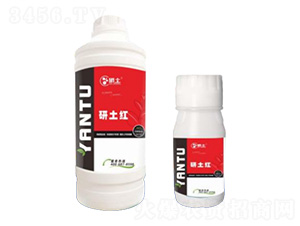 �����D(zhu��n)ɫ��-�����t-��������