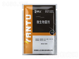 �β���΢�������-��������