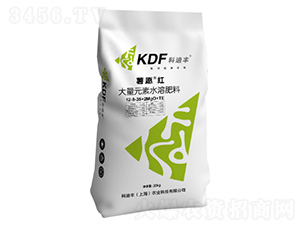 大量元素水溶肥料12-8-35+2MgO+TE-薯愿紅-科迪豐