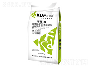 �����ᡪ�VԴ�S�����-��Ը��-�Ƶ��S