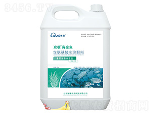 ø�⺣���~(y��)����-�����~(y��)-�¾�