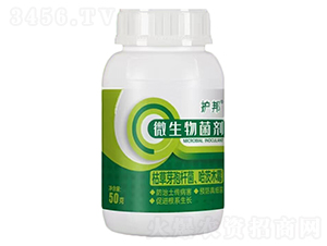 微生物菌劑-護(hù)邦-惠農(nóng)農(nóng)業(yè)