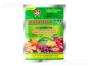 �A�~PBO����ٿ��~���-�����ѻ�