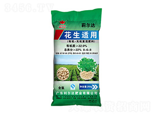 �����m���ЙC�o�C��(f��)�����8-6-8-�����_�ʘI(y��)