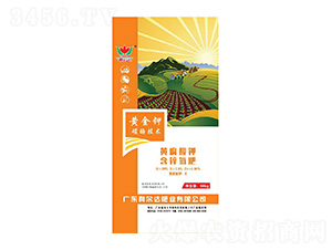 �S����⛺��\����-�S���-�����_(d��)�ʘI(y��)