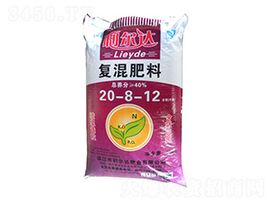 ��(f��)�����20-8-12-�����_(d��)�ʘI(y��)