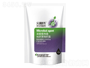 ΢�������-�ָ(xi��n)-��(li��n)����