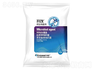 ΢�������-�_��-��(li��n)����