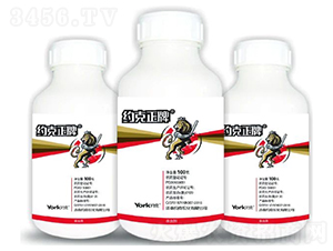 8%���x��Ҹ��N��-�s������-�s���r(n��ng)��