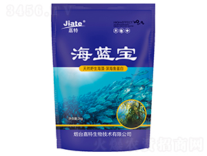 ���{(l��n)��-��������