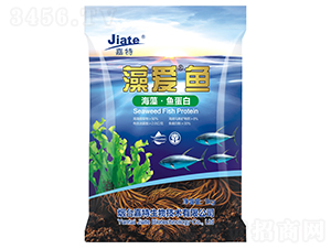 ��ۡ��~-��������