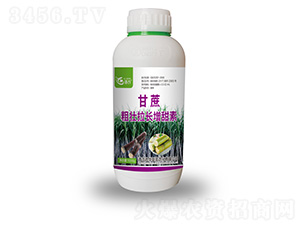 ����։����L(zh��ng)������-�Z(y��)�r(n��ng)-���A(li��n)��