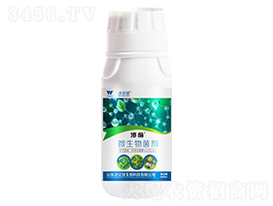 ����΢�������-�֠���(y��u)