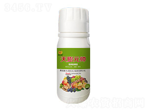 100g�I�B(y��ng)������~���-����Ԫ��-���_(d��)���ʘI(y��)