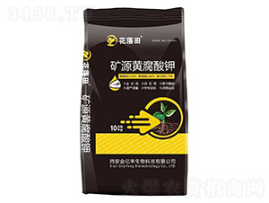 �VԴ�S�����-������-���|�S