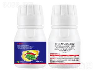 10%���x����ʭ����Ҹ�����40�ˣ�-���ؾ�-Ȥ�r�r�I(y��)