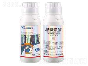 25���������������-�{؈�ǻ�