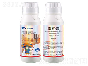 45%����������-�{؈�ǻ�