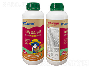 �����ή�}���}�{�턩-���}��-�{؈�ǻ�