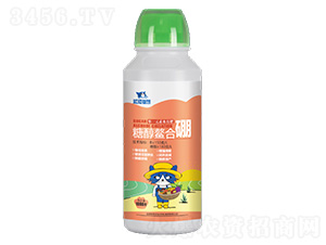 �Ǵ�������-�{(l��n)؈�ǻ�