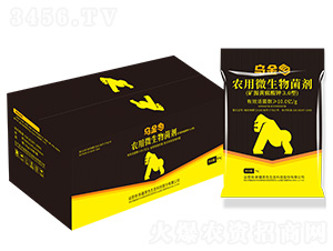 �����r(n��ng)��΢����������䣩-��ɫ���B(t��i)