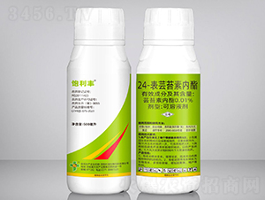 24-���|̦�؃�(n��i)��-����S-��ϲ