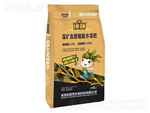 ��V����ֲ��ˮ�ܷ�-픶�-�P��ï����