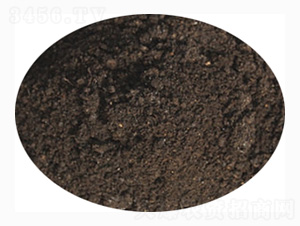 ���⌣�÷�-ӭ������