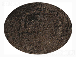 �������÷�-ӭ������