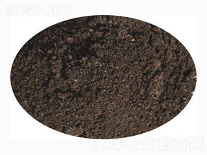 ���ЙC(j��)��-ӭ������