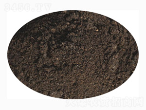 �t�팣�÷�-ӭ������