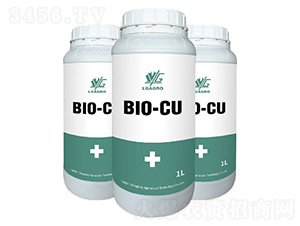 �۰��W���~-�����_