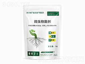 ΢�������-�����l(w��i)ʿ-��˹�r(n��ng)