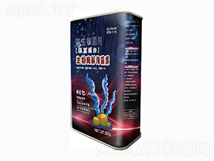 ����ø�⺣����-���{����-����Ӌ1̖��˹�r(n��ng)