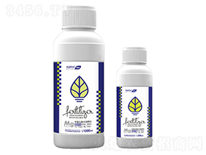 �Ǵ��}�V-�����S