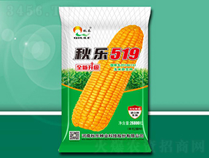 �519-���׷N��-��N�I(y��)