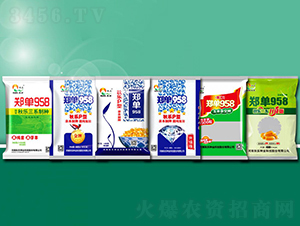 ����958-���׷N��-��N�I(y��)