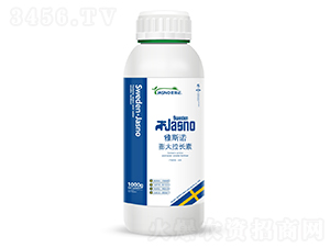 ������L��-��˹�Z