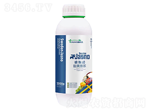 ���ԭ�{-��˹�Z