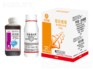 ���x(ch��ng)��Q����-�t�f(w��n)��-�l(xi��ng)�弾�L(f��ng)-���˹����r(n��ng)��