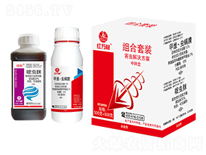 �M�����b�����x(ch��ng)��Q������-�t�f(w��n)��-�l(xi��ng)�弾�L(f��ng)-���˹����r(n��ng)��